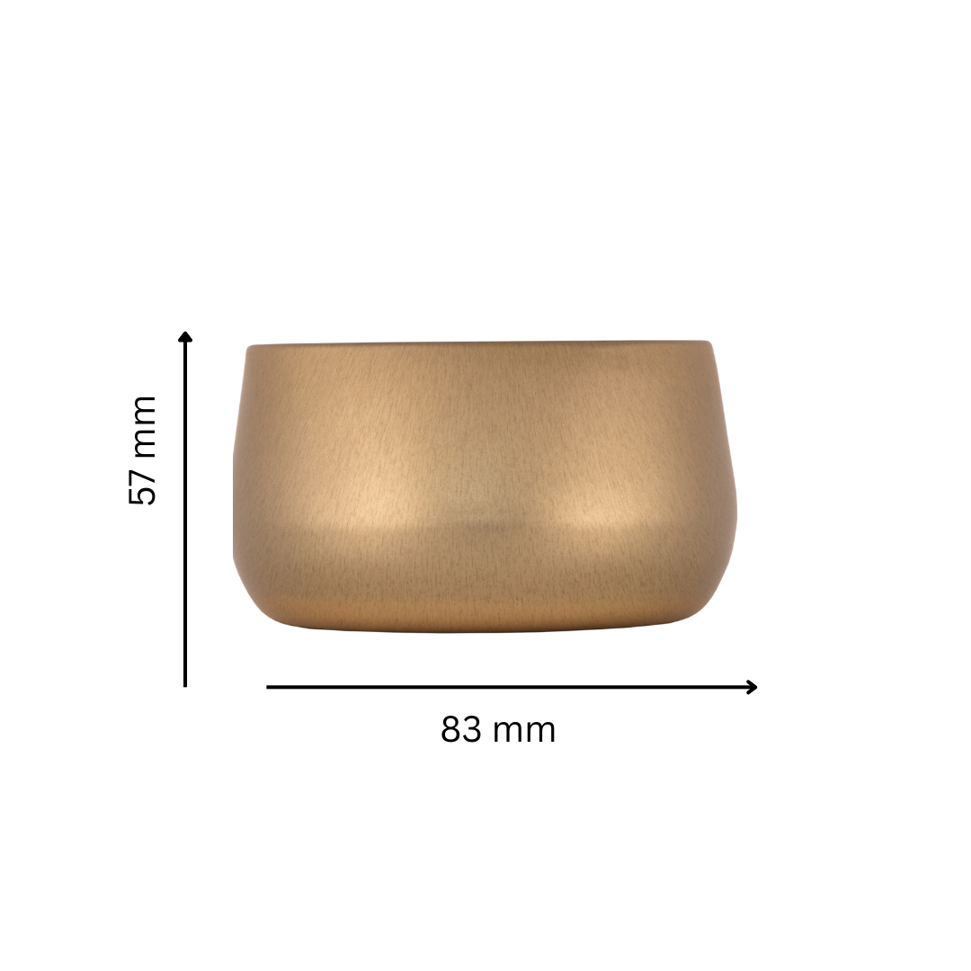 Anoushka - Available February '26