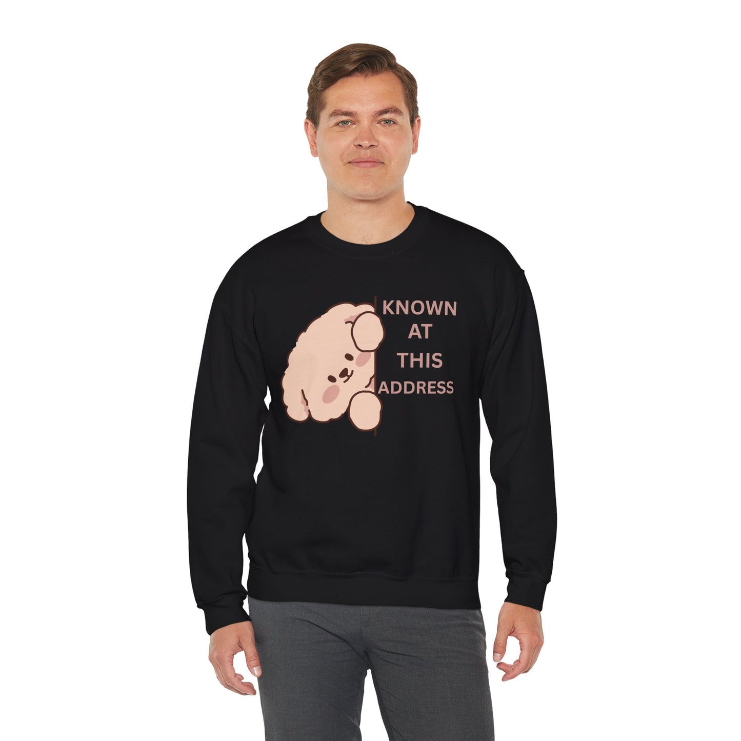 "Known At This Address" Dog Sweatshirt  - Ships from Australia