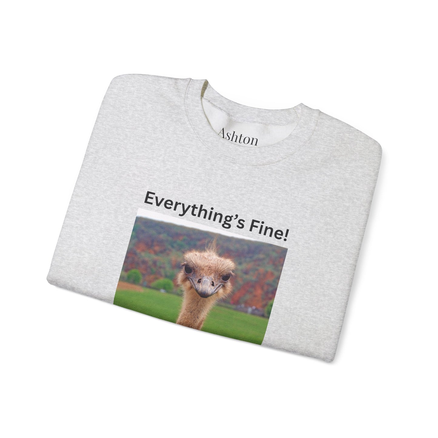 "Everything's Fine!" (Style 2) Sweatshirt - Ships from Australia