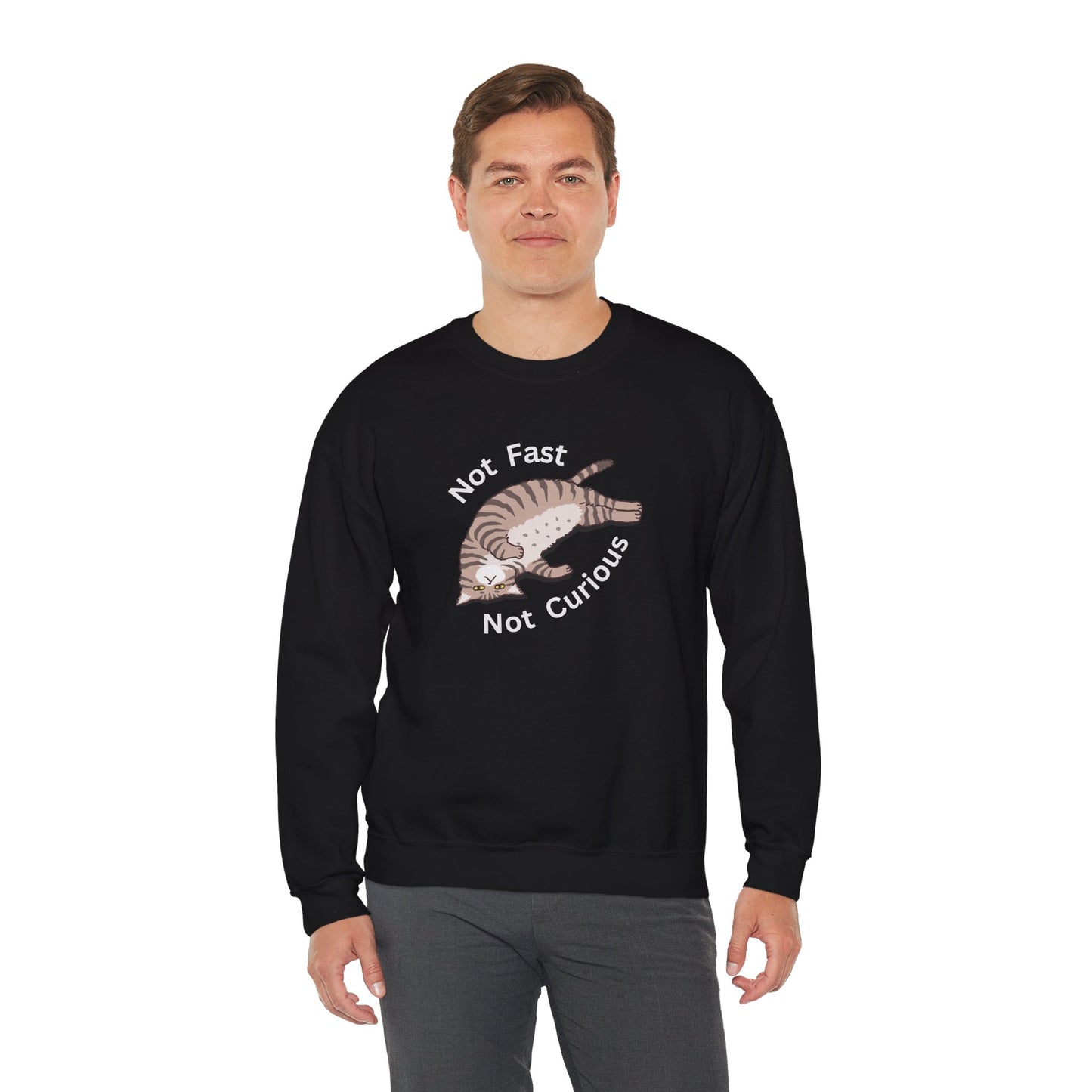 "Not Fast Not Curious" Cat Sweatshirt - Ships from Australia