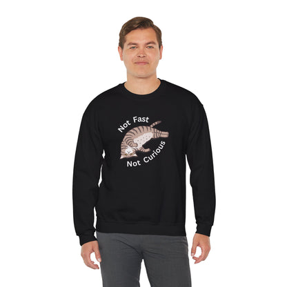 "Not Fast Not Curious" Cat Sweatshirt - Ships from Australia