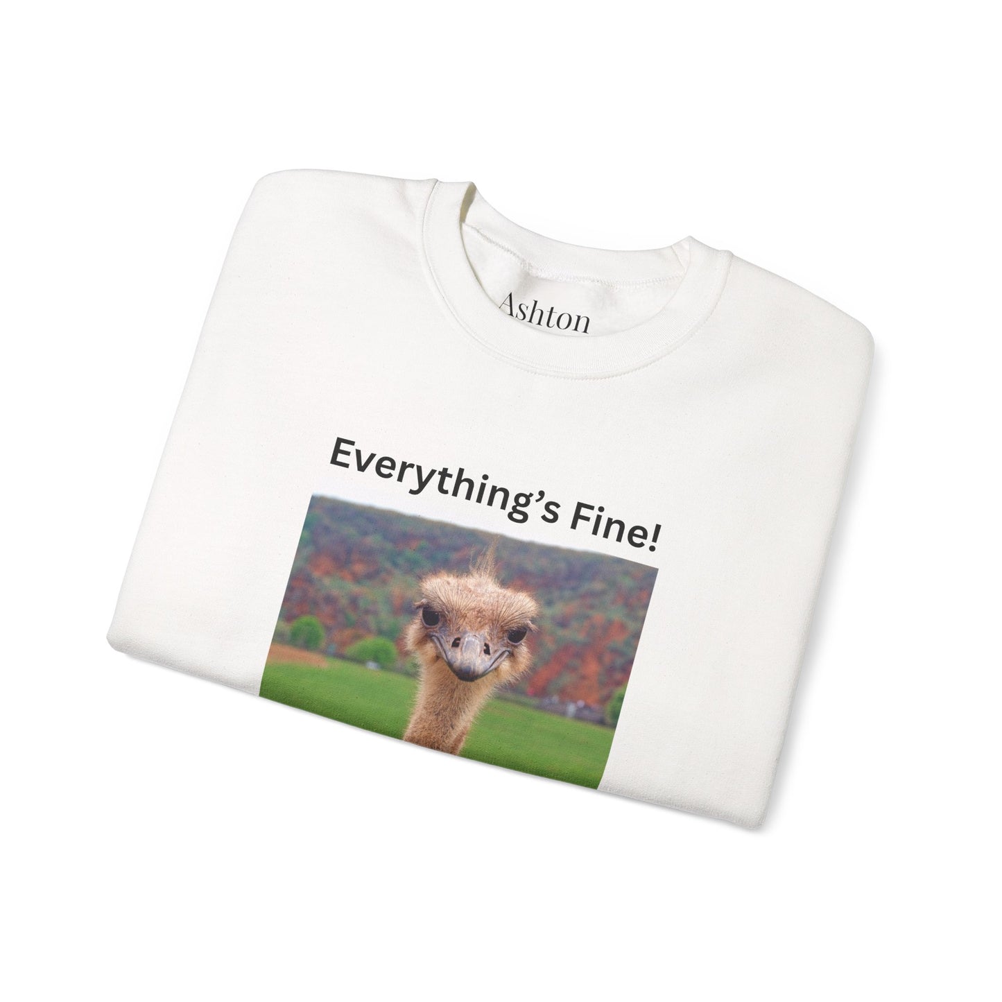 "Everything's Fine!" (Style 2) Sweatshirt - Ships from Australia