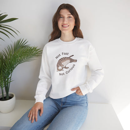 "Not Fast Not Curious" Cat Sweatshirt - Ships from Australia