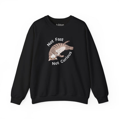 "Not Fast Not Curious" Cat Sweatshirt - Ships from Australia