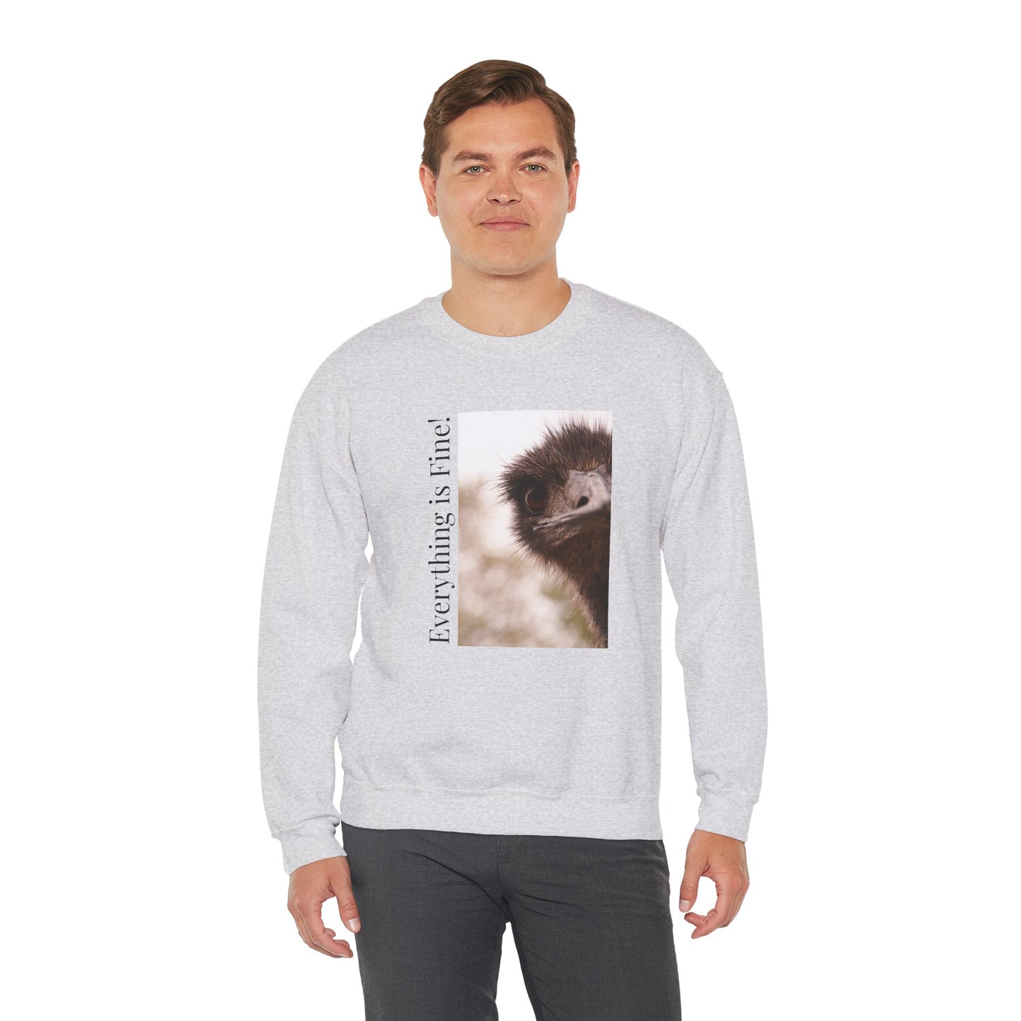"Everything Is Fine" Sweatshirt (Style 1) - Ships from Australia