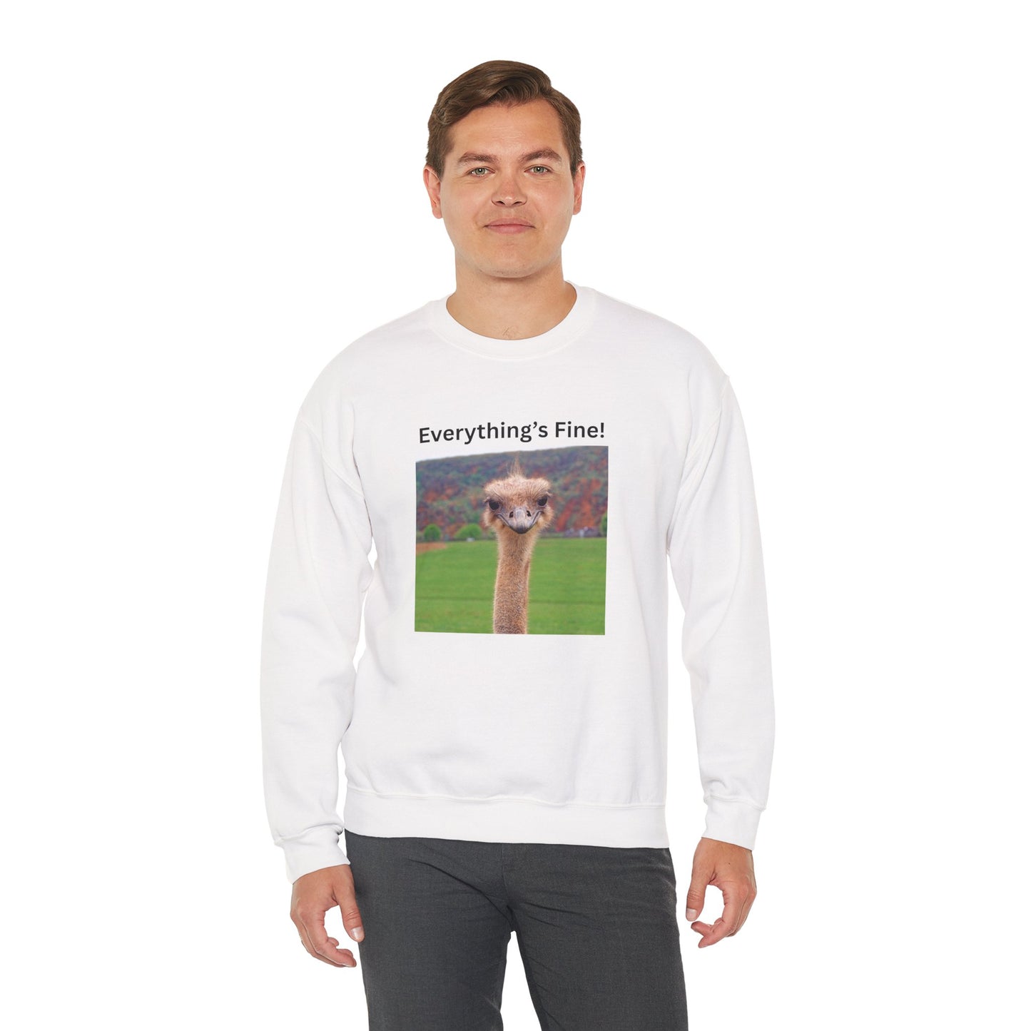 "Everything's Fine!" (Style 2) Sweatshirt - Ships from Australia