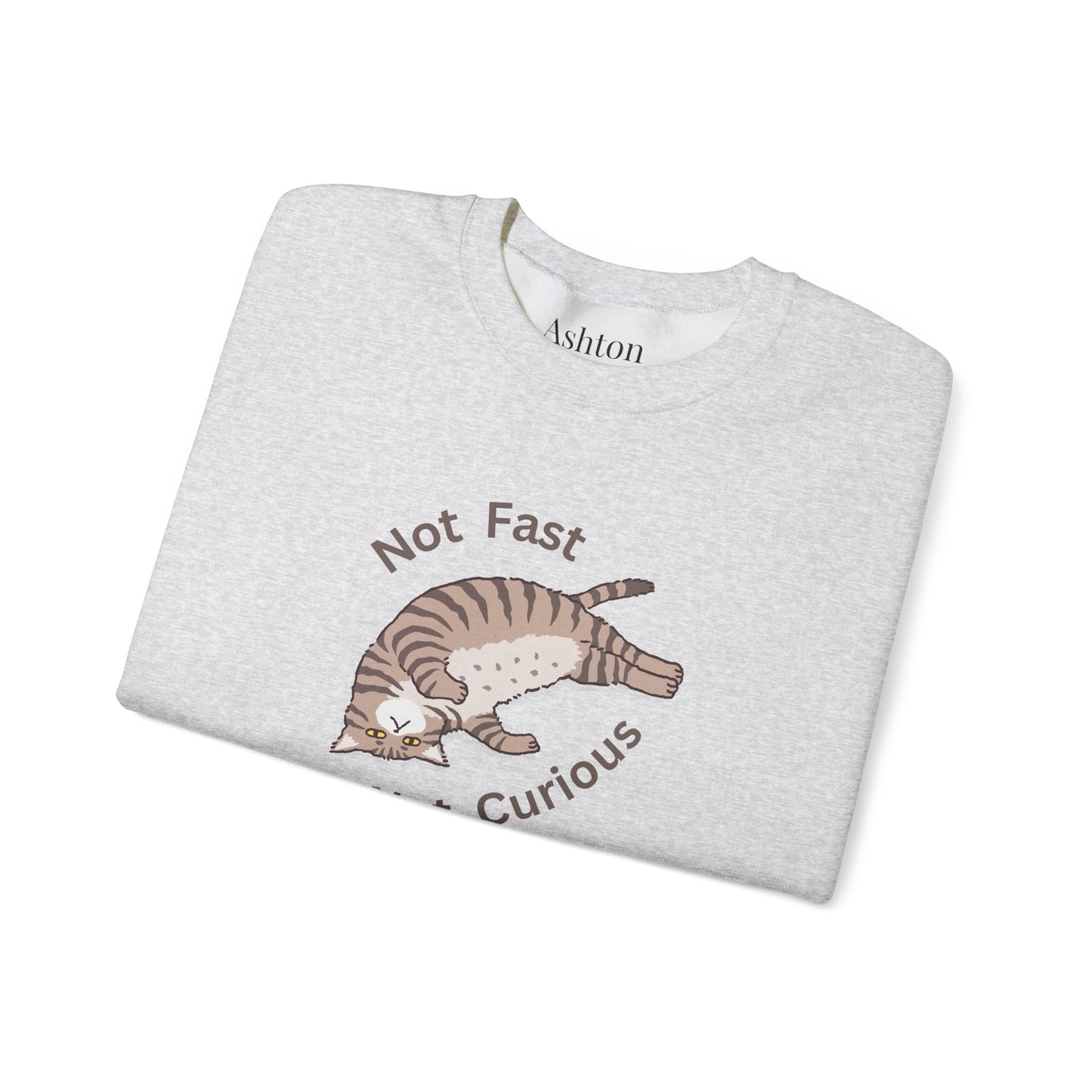 "Not Fast Not Curious" Cat Sweatshirt - Ships from Australia