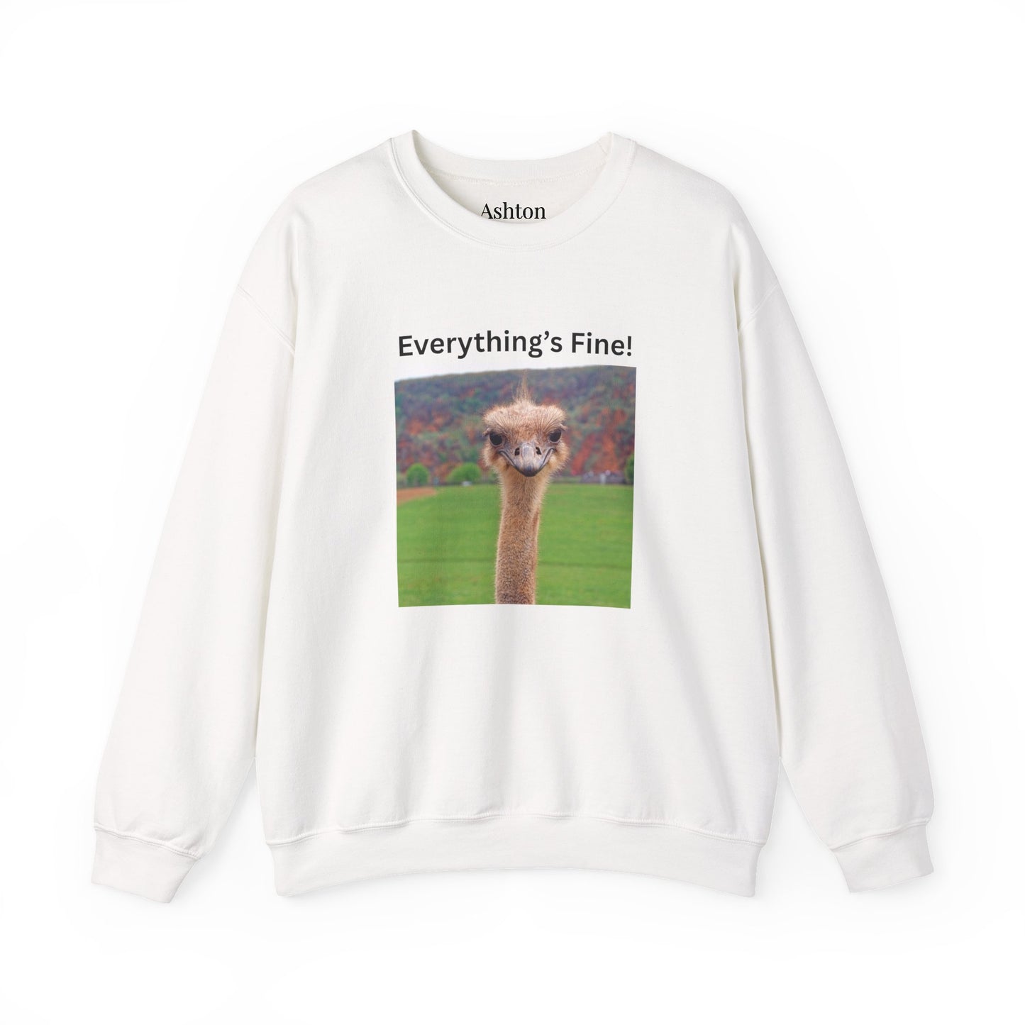 "Everything's Fine!" (Style 2) Sweatshirt - Ships from Australia