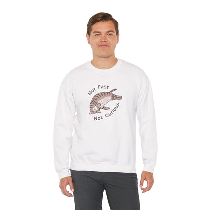 "Not Fast Not Curious" Cat Sweatshirt - Ships from Australia