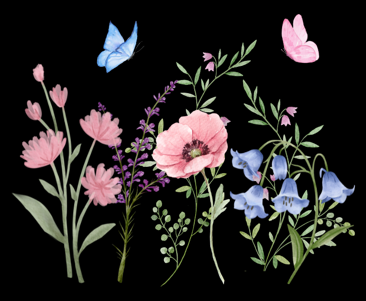 Butterflies and Flowers T-shirt - Ships from Australia