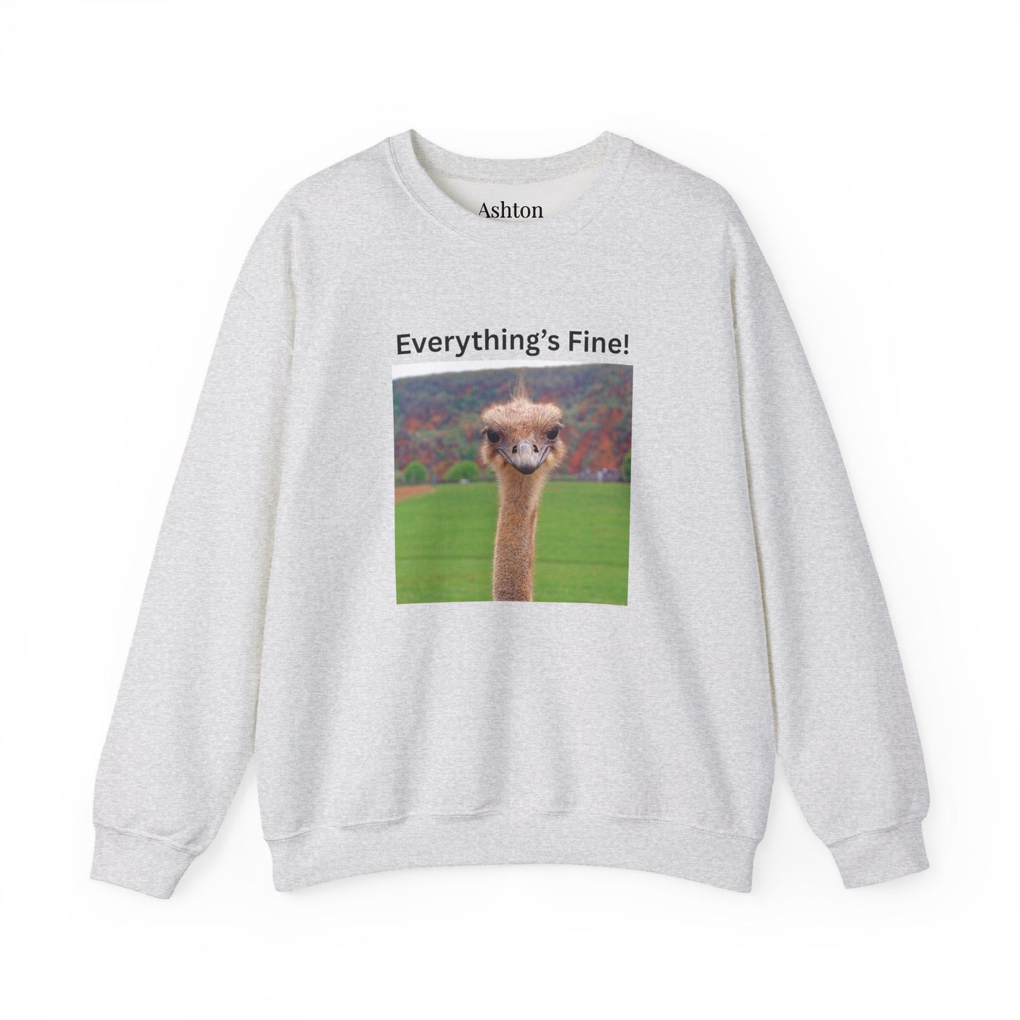 "Everything's Fine!" (Style 2) Sweatshirt - Ships from Australia