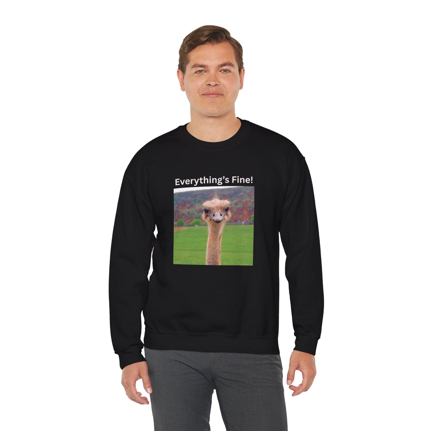 "Everything's Fine!" (Style 2) Sweatshirt - Ships from Australia