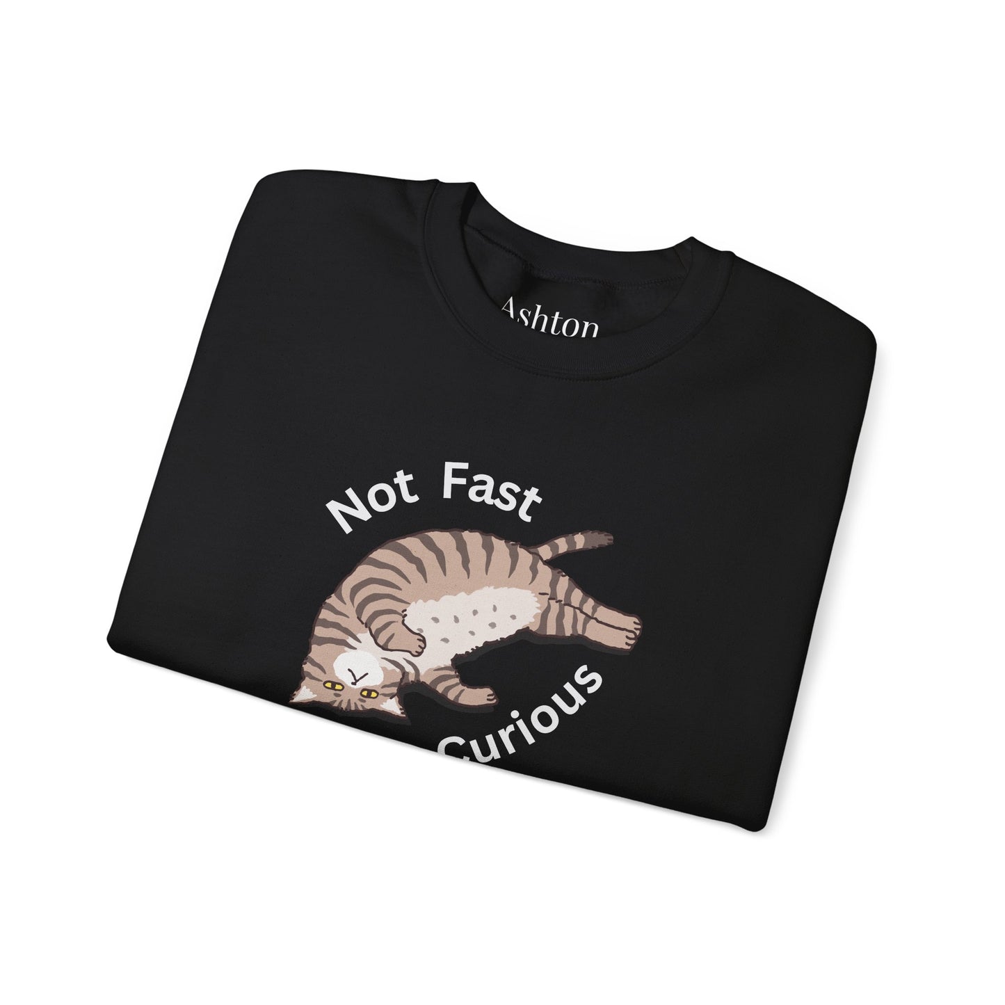 "Not Fast Not Curious" Cat Sweatshirt - Ships from Australia