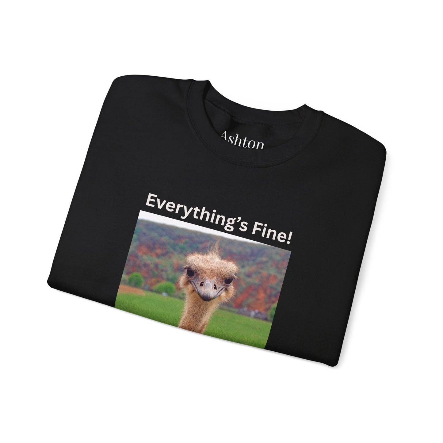 "Everything's Fine!" (Style 2) Sweatshirt - Ships from Australia