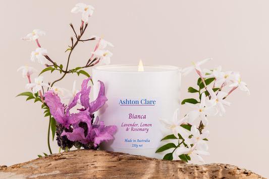 Bianca - Available May '26